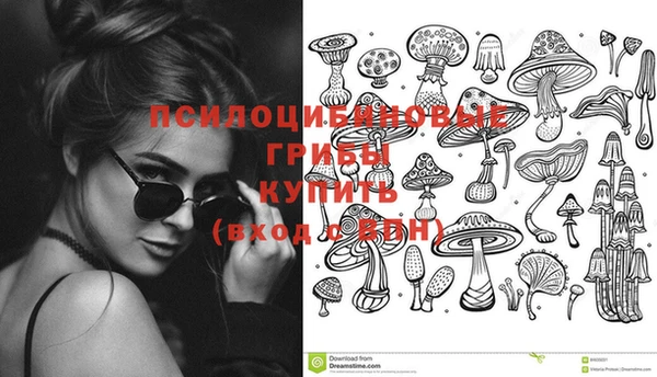 apvp Абаза