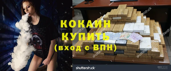 тгк Алзамай
