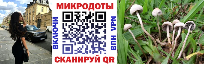 blacksprut маркетплейс  закладки  Кадников  Псилоцибиновые грибы мухоморы 